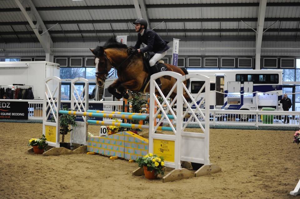 How Much Do Jumping Horses Cost